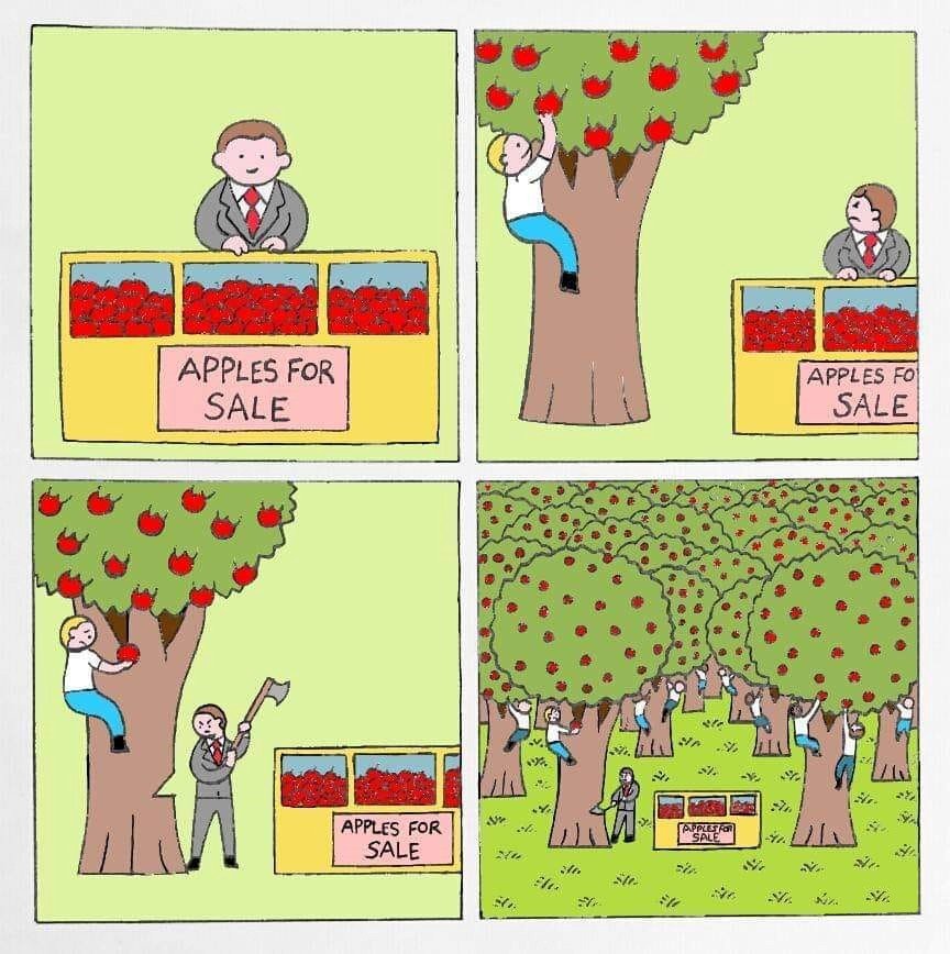 This meme is a humorous comparison between a job interview and a job in a fruit orchard. The first panel shows a job interviewer asking "Do you have any questions?" and the second panel shows a person asking "Do you have any apples?" The third panel shows a person asking "How many apples can I take?" and the fourth panel shows a person asking "How many apples can I take?" with a crowd of people surrounding a tree.